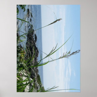 Rocky Shore Poster