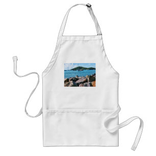 Rocky Shore St. Thomas Standard Apron