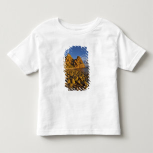 Rocky shoreline on Isla Carmen in the Gulf of Toddler T-Shirt