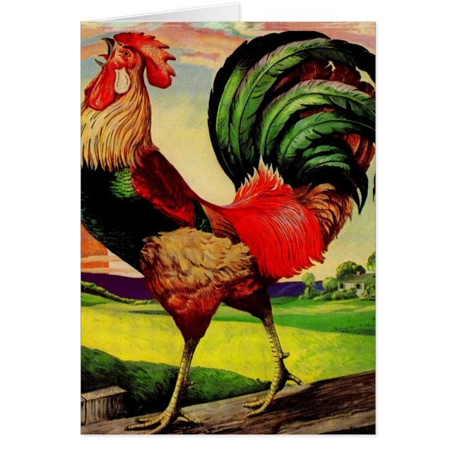 Rocky the Handsome Rooster (Front)