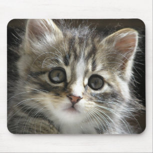 Rocky the Kitten Mousepad
