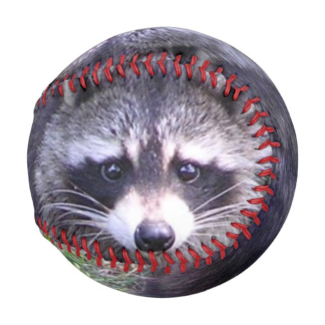Rocky the Racoon Baseball (Front Right)