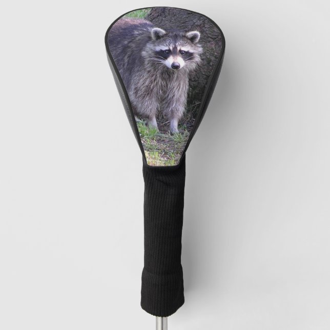 Rocky the Racoon Golf Head Cover (Front)