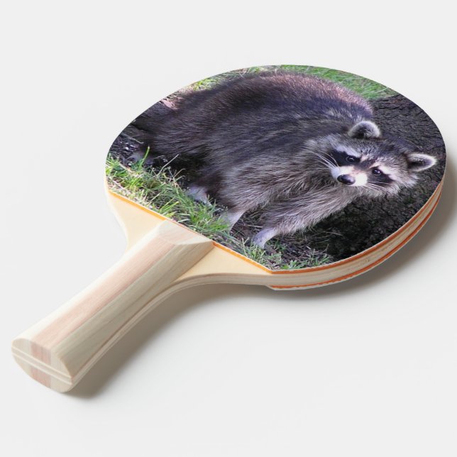 Rocky the Racoon Ping Pong Paddle (Back Angle)