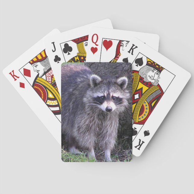 Rocky the Racoon Playing Cards (Back)