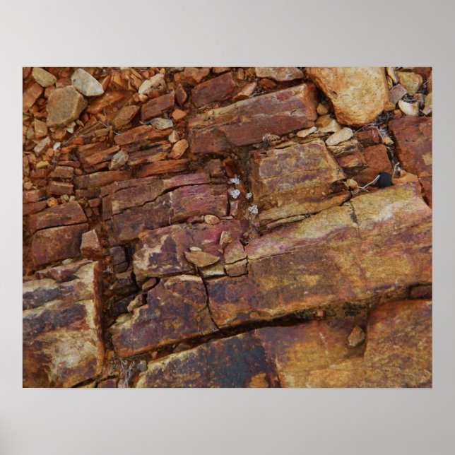 Rocky view poster (Front)