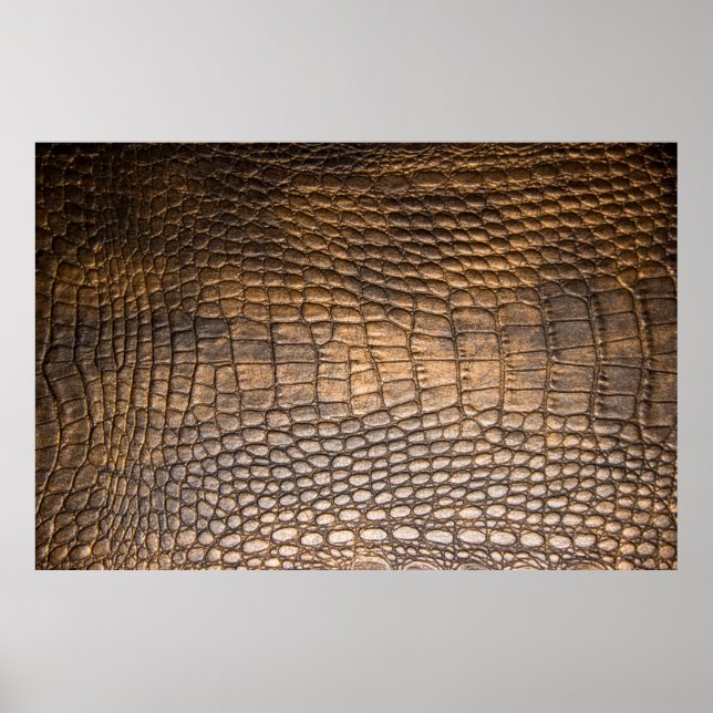 ?rocodile leather. Brown Leather background and te Poster (Front)