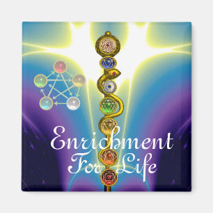 ROD OF ASCLEPIUS 7 CHAKRAS,YOGA ,SPIRITUAL ENERGY MAGNET