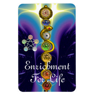 ROD OF ASCLEPIUS 7 CHAKRAS,YOGA ,SPIRITUAL ENERGY MAGNET