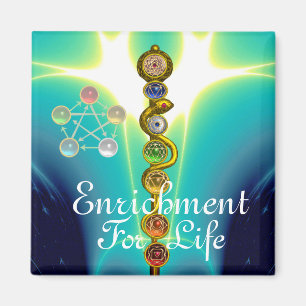 ROD OF ASCLEPIUS 7 CHAKRAS,YOGA ,SPIRITUAL ENERGY MAGNET