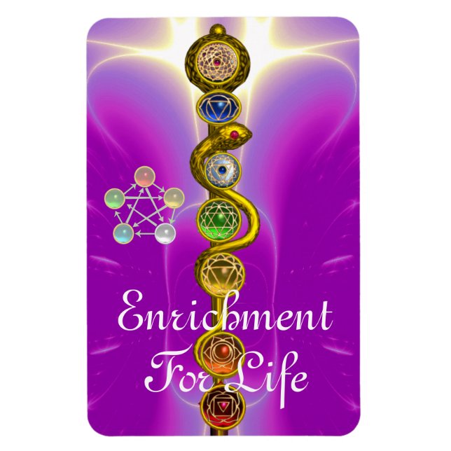 ROD OF ASCLEPIUS 7 CHAKRAS,YOGA ,SPIRITUAL ENERGY MAGNET (Vertical)