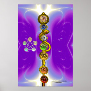 ROD OF ASCLEPIUS 7 CHAKRAS,YOGA ,SPIRITUAL ENERGY POSTER