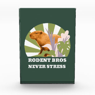 Rodent Bros Never Stress Capybara Photo Block