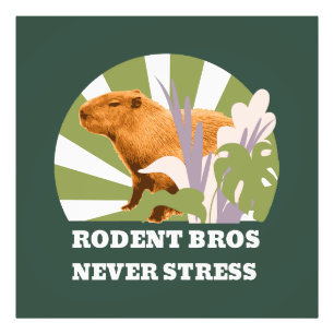 Rodent Bros Never Stress Funny Capybara Photo Print