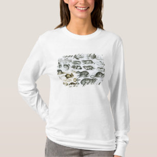 Rodentia-Rodents or Gnawing Animals T-Shirt