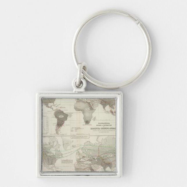 Rodentia, Ruminantia Key Ring (Front)