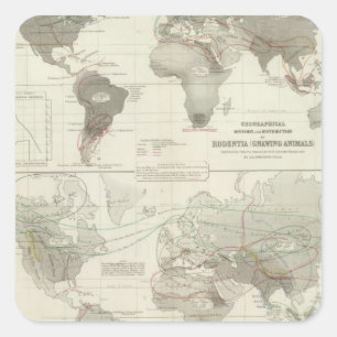 Rodentia, Ruminantia Square Sticker