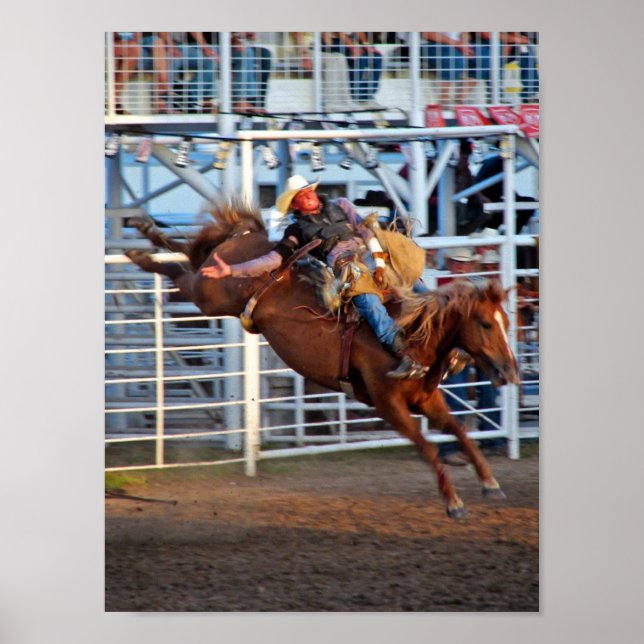 Rodeo Bucking Poster (Front)