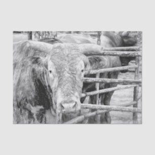 Rodeo Bull Rustic Black And White Country Western Tissue Paper