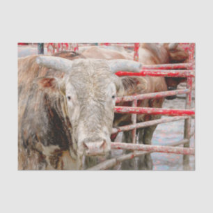 Rodeo Bull Rustic Country Western Tissue Paper