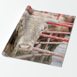 Rodeo Bull Rustic Country Western Wrapping Paper