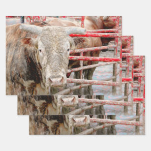 Rodeo Bull Rustic Country Western Wrapping Paper Sheet