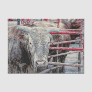 Rodeo Bull Rustic Vintage Grey Red Country Western Tissue Paper