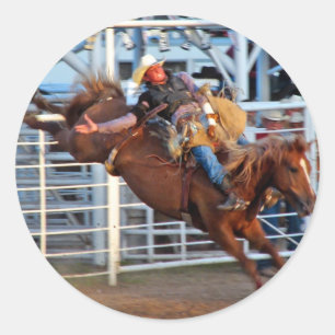 Rodeo! Classic Round Sticker