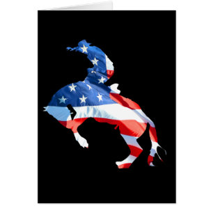 Rodeo is America - Bronco Riding