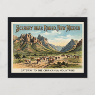 Rodeo, New Mexico - Cattle Drive Vintage Postcard