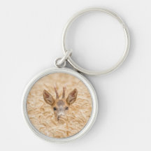 Roe Buck in Golden Wheat Wildlife