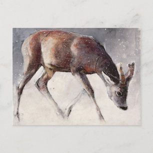Roe Buck Winter 2000 Postcard