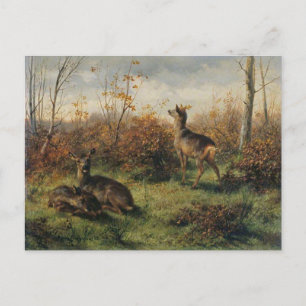 Roe Deer by Rosa Bonheur Postcard