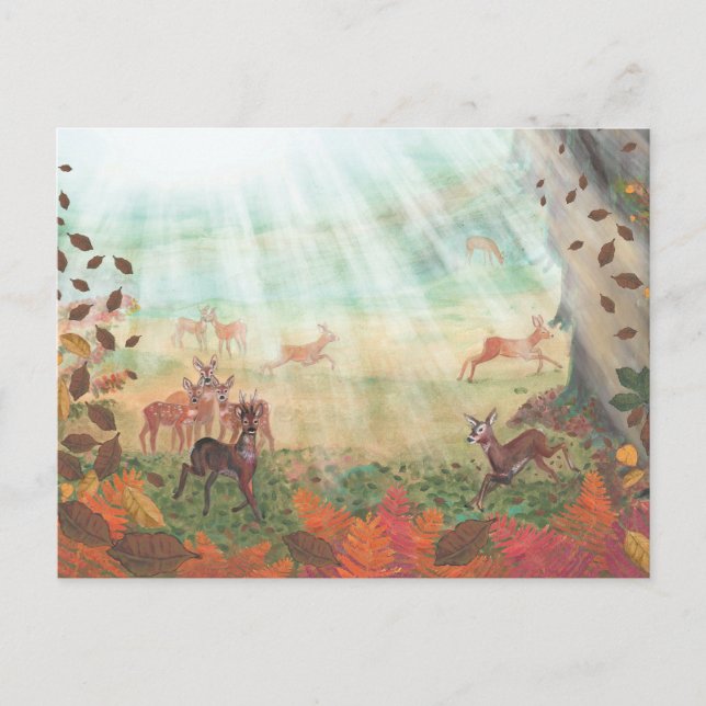 Roe Deer Capreolus capreolus in Forest Sunlight Postcard (Front)