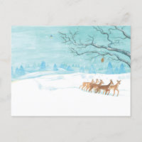 Roe Deer Group in Winter