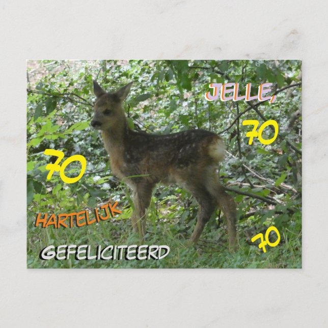 Roe Deer in Forrest Cust. 70th Birthday Postcard (Front)