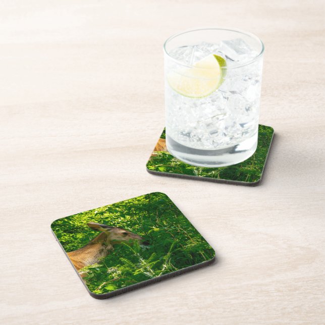 Roe deer in the forest. coaster (Right Side)