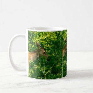 Roe deer in the forest. coffee mug