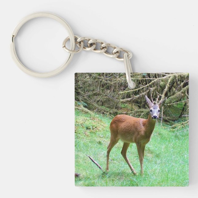 Roe Deer Stag Posing Key Ring (Front)