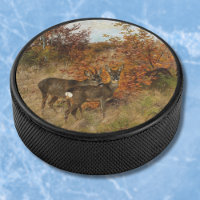 Roe Deer with Autumn Leaves Vintage Wildlife