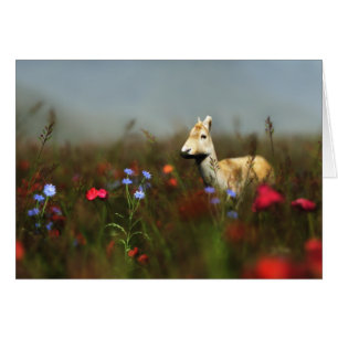 Roe in a Meadoe Card