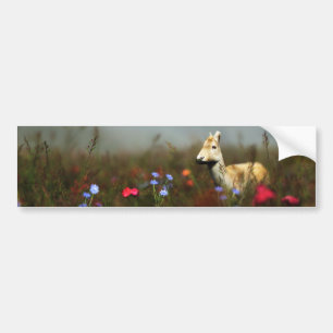 Roe in a Meadow Bumper Sticker
