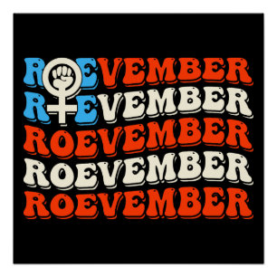 Roevember November 24 Election  Poster