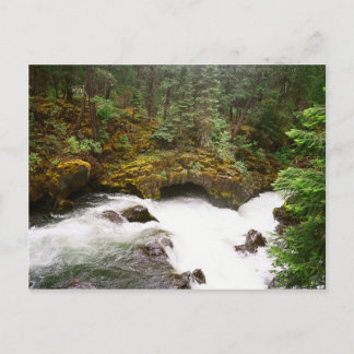 Rogue River Lava Tube Postcard