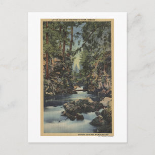 Rogue River, Oregon - Upper Gorge View of River Postcard