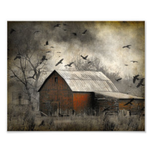 Roguish Ravens Created A Crownado Photo Print