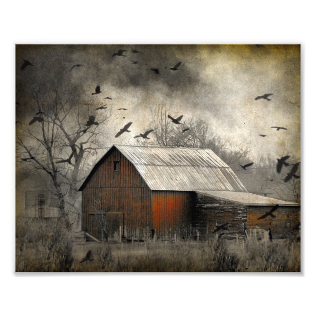 Roguish Ravens Created A Crownado Photo Print (Front)