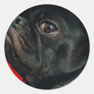 rojo dog classic round sticker