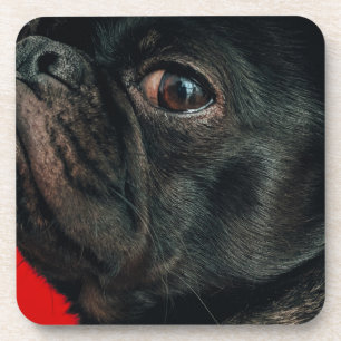 rojo dog coaster