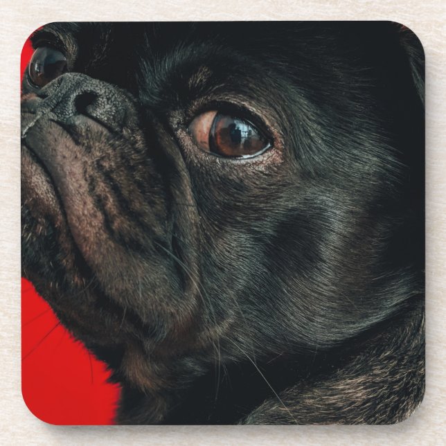 rojo dog coaster (Front)